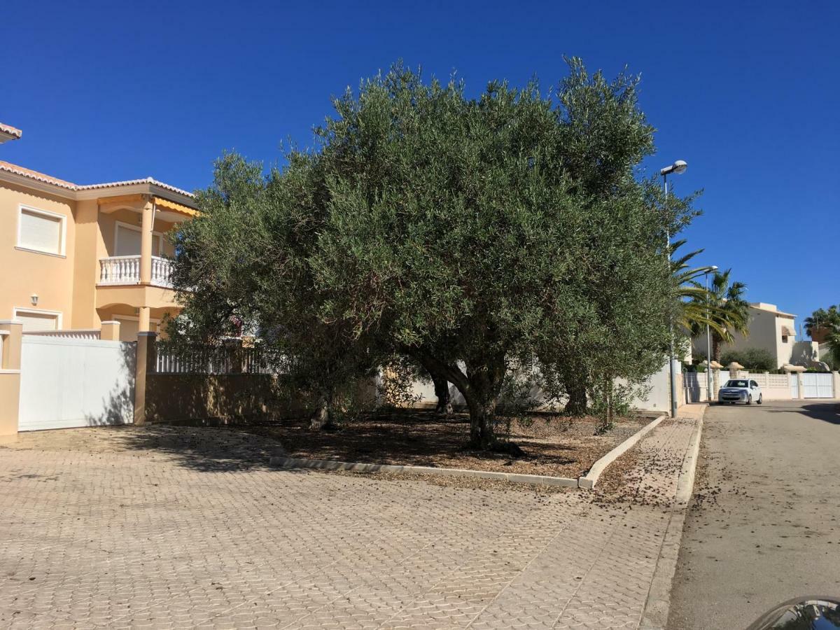 Frente Al Mar - Velazquez Villa Oliva Kültér fotó